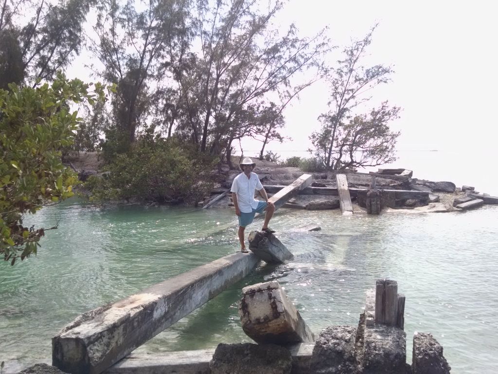Milling about the Waters of Johnston Key